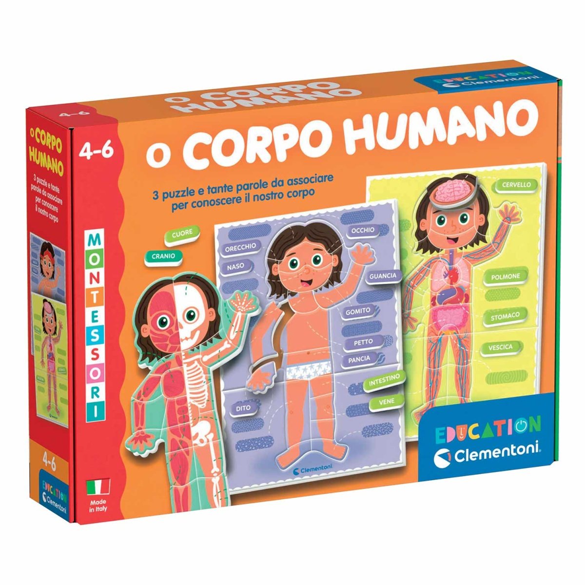 MONTESSORI - O CORPO HUMANO CLEMENTONI EDUCATION